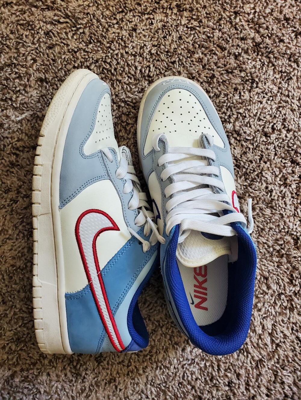 Nike Dunk Low Shoes